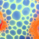 Illustration for article titled GE's "Point and Shoot" Microscope Snaps Spectacular Cellular Shots